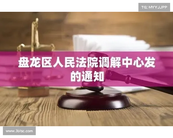 如何获取安联赞助商的基本信息及相关背景资料解析